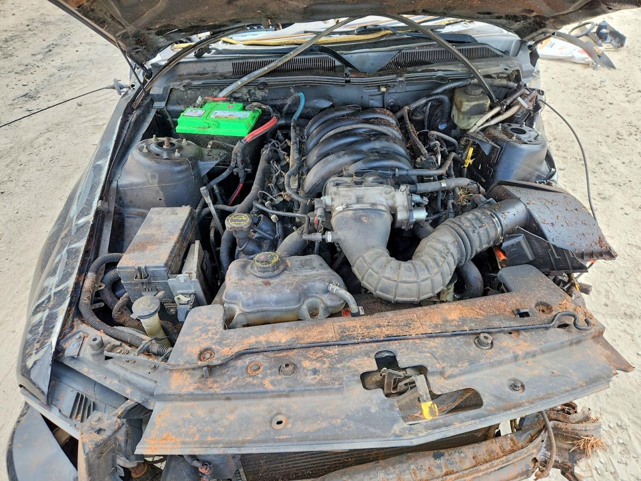 FORD MUSTANG 2006 — 12