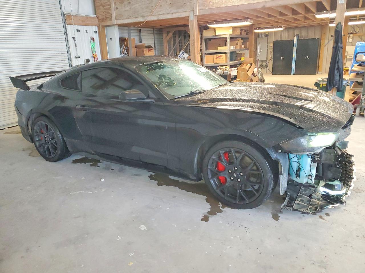 FORD MUSTANG 2019 — 5