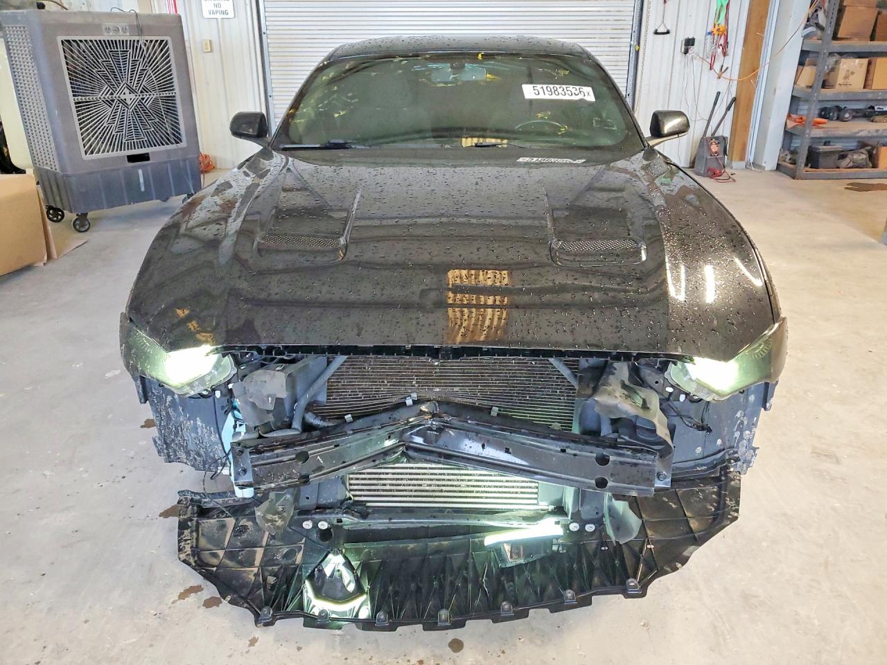 FORD MUSTANG 2019 — 6