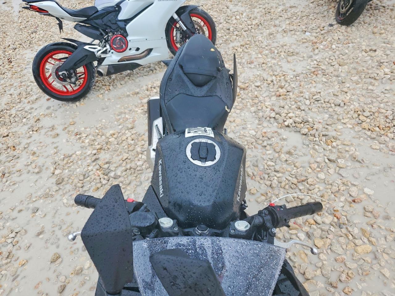 KAWASAKI EX500 2026 — 6