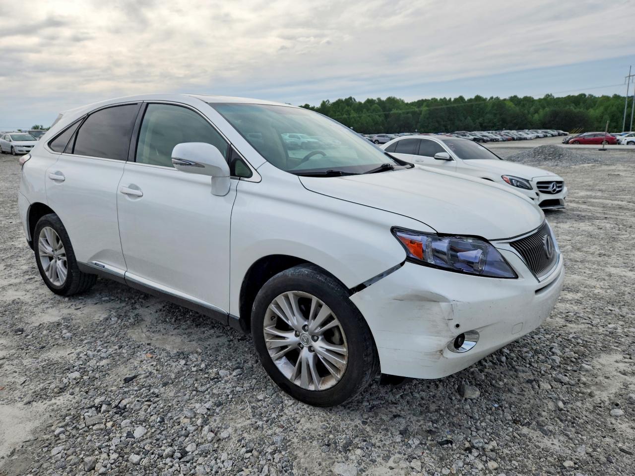LEXUS RX 2010 — 5