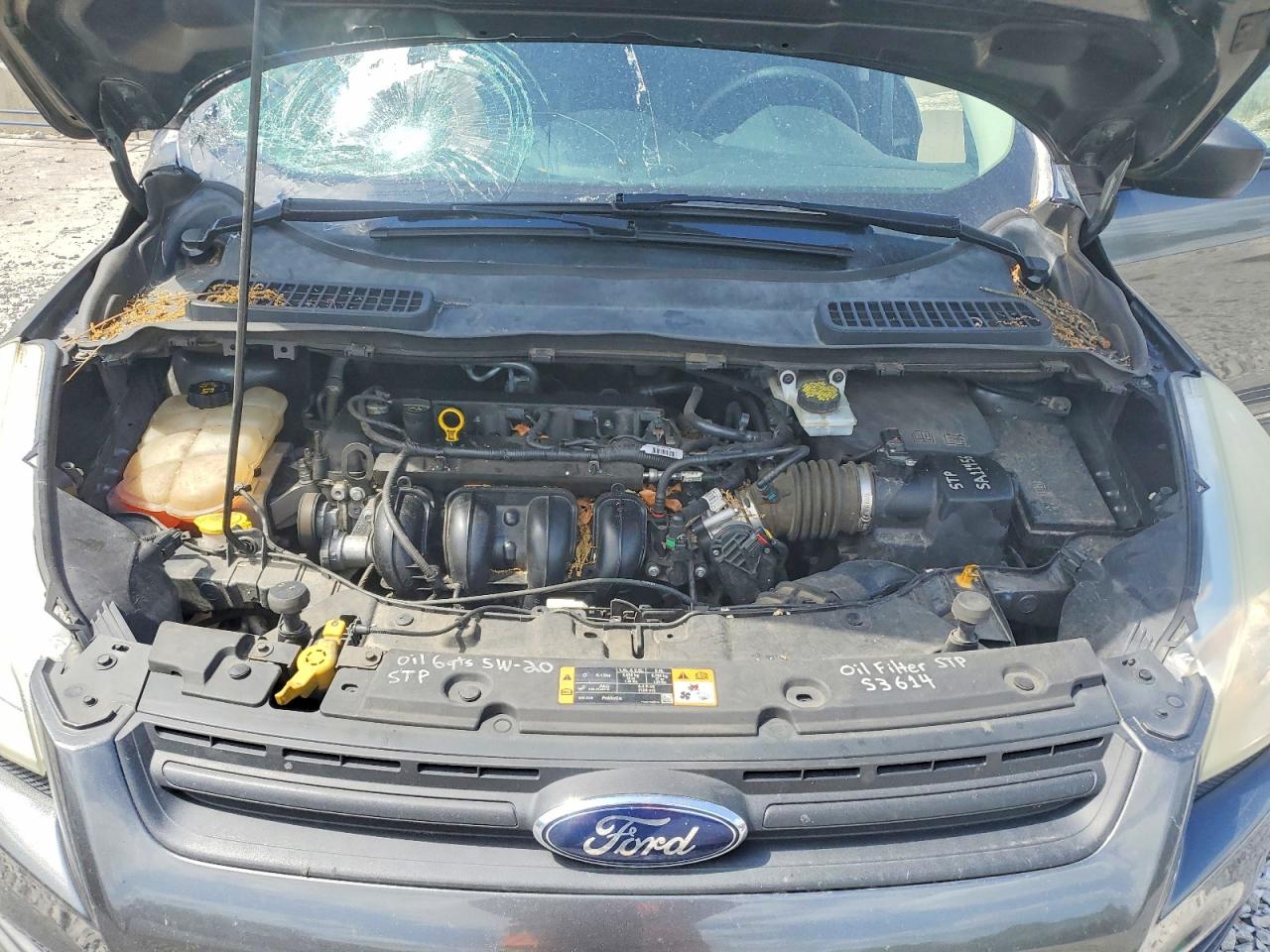 FORD ESCAPE 2016 — 13