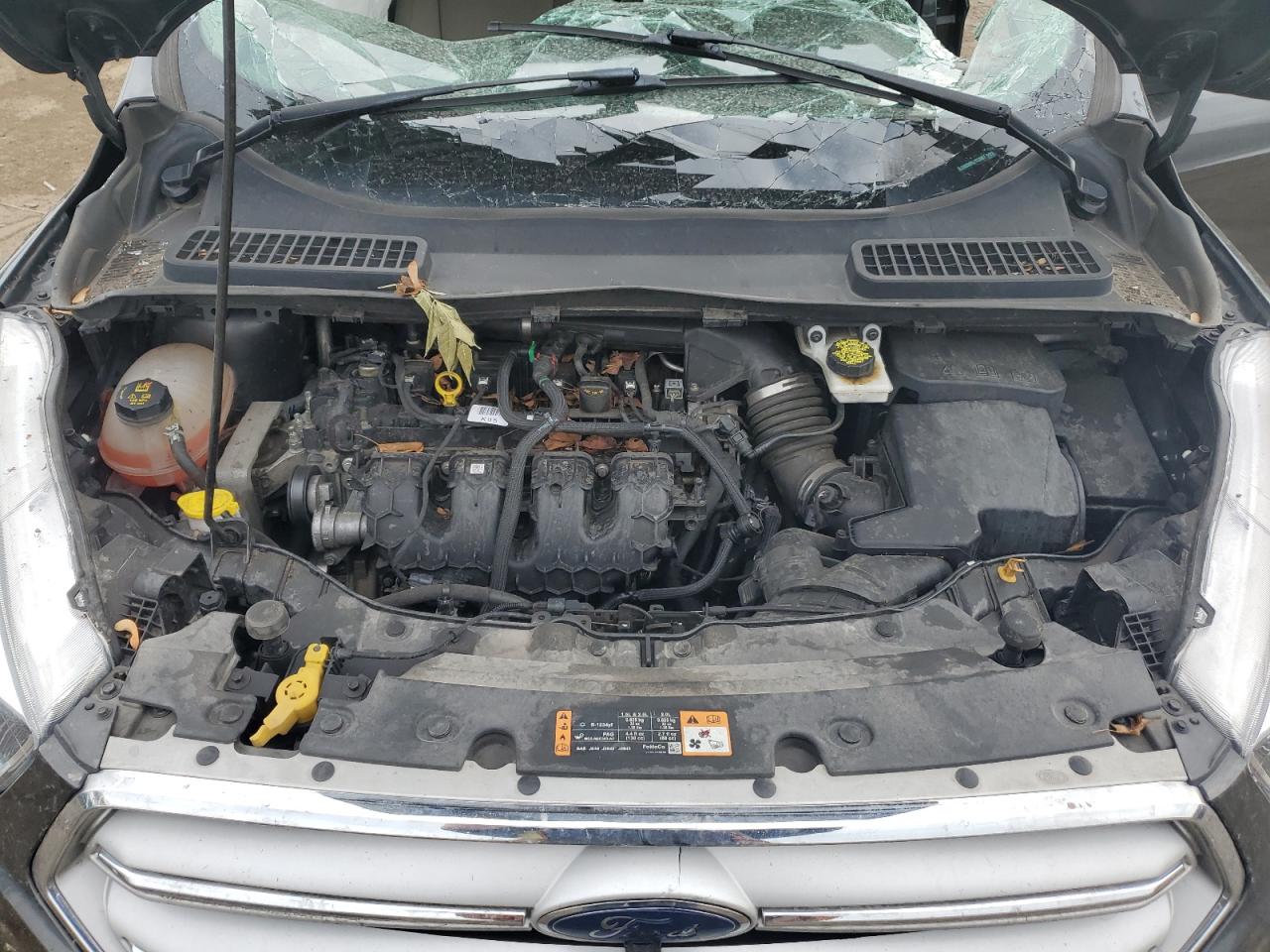 FORD ESCAPE 2019 — 13
