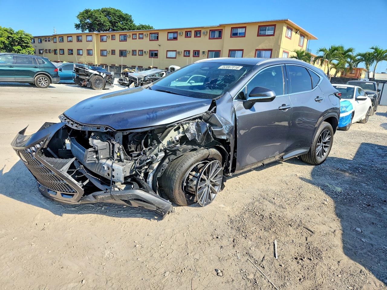LEXUS NX 2024 — 2
