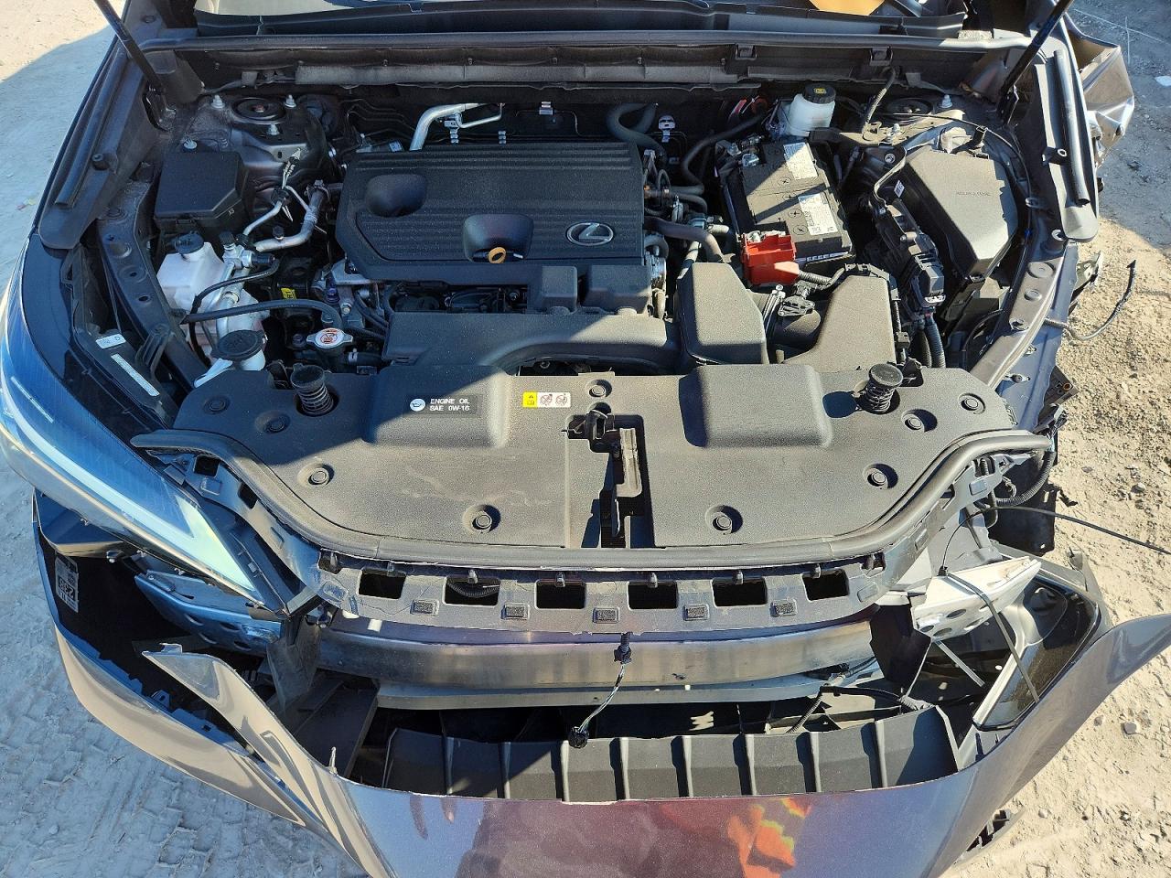 LEXUS NX 2024 — 12