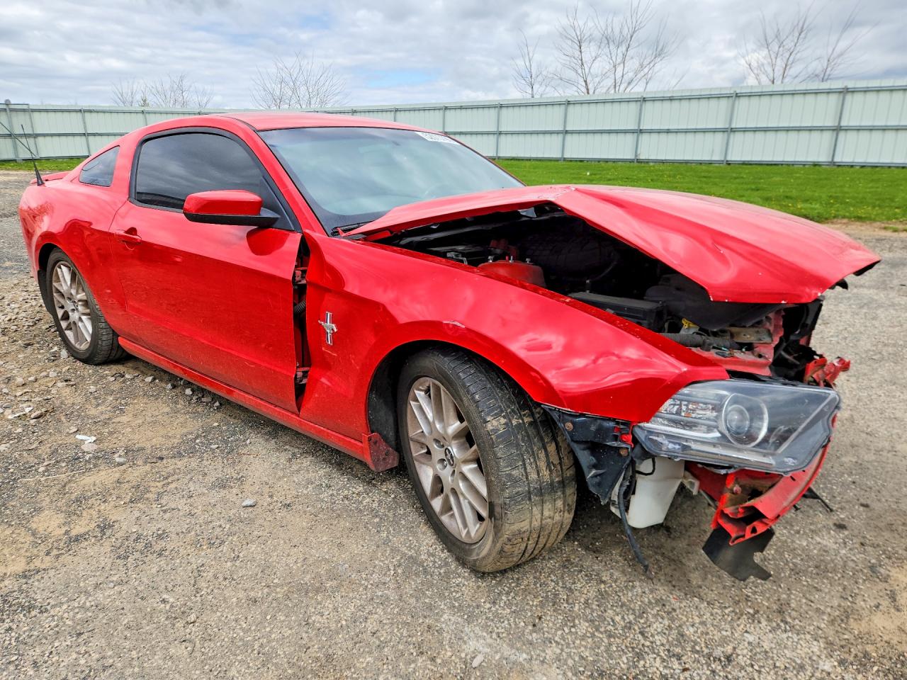 FORD MUSTANG 2014 — 5