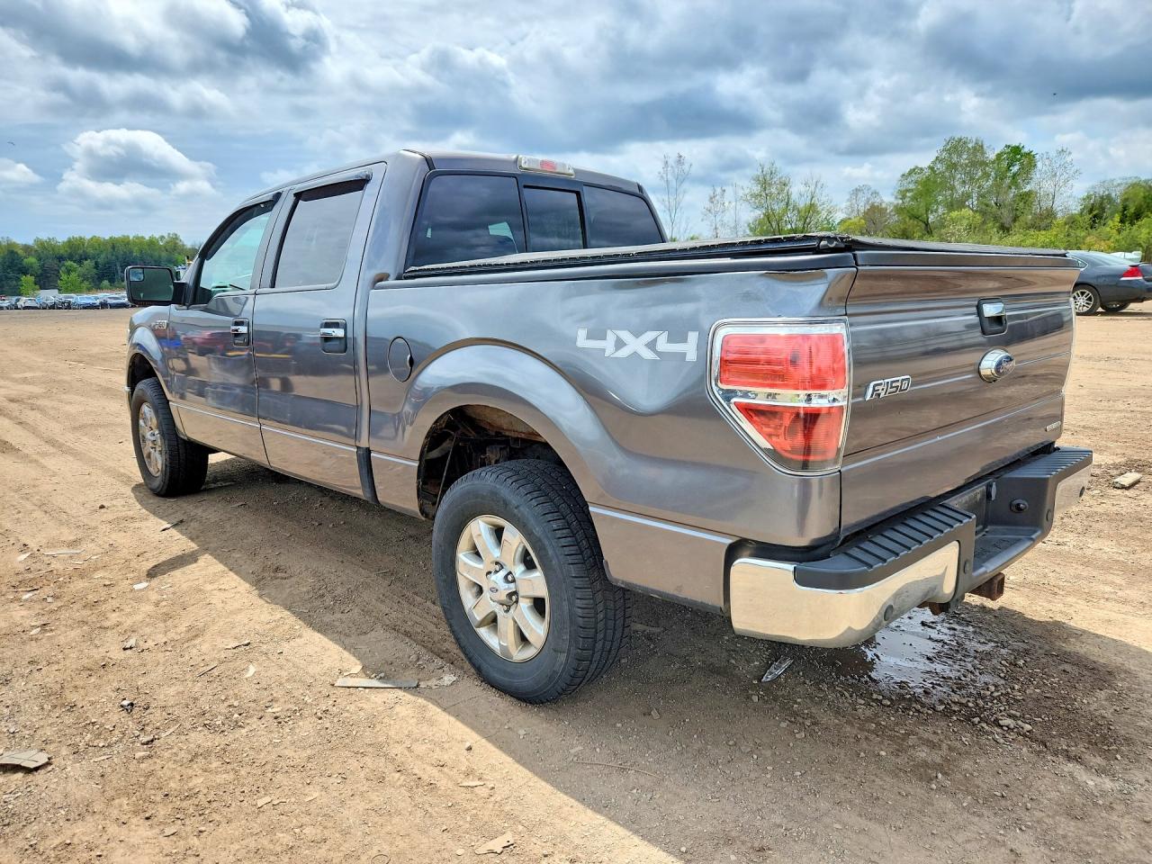 FORD F150 2014 — 3