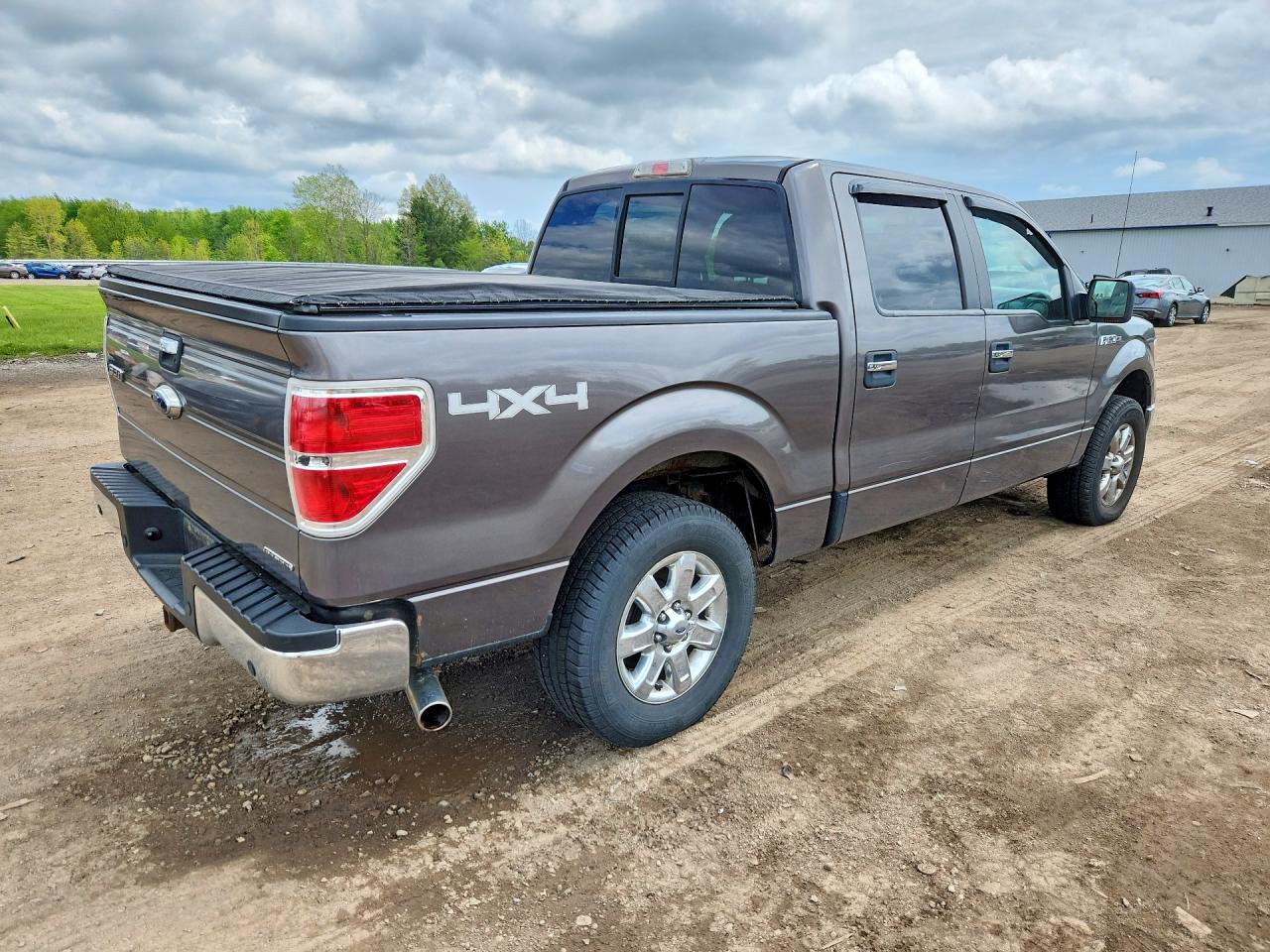 FORD F150 2014 — 4