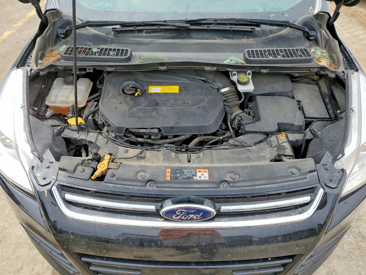 FORD ESCAPE 2016 — 13