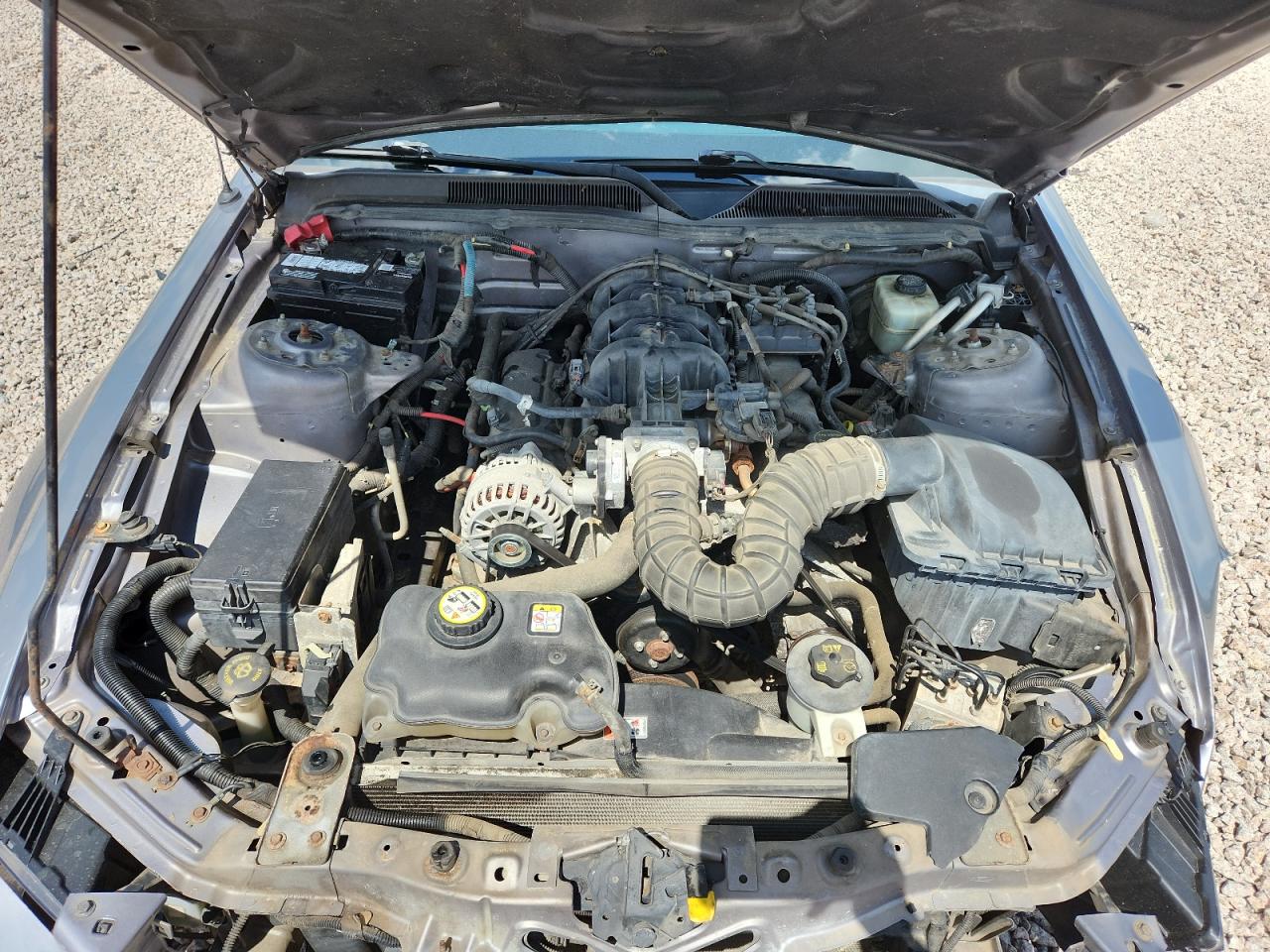 FORD MUSTANG 2006 — 12