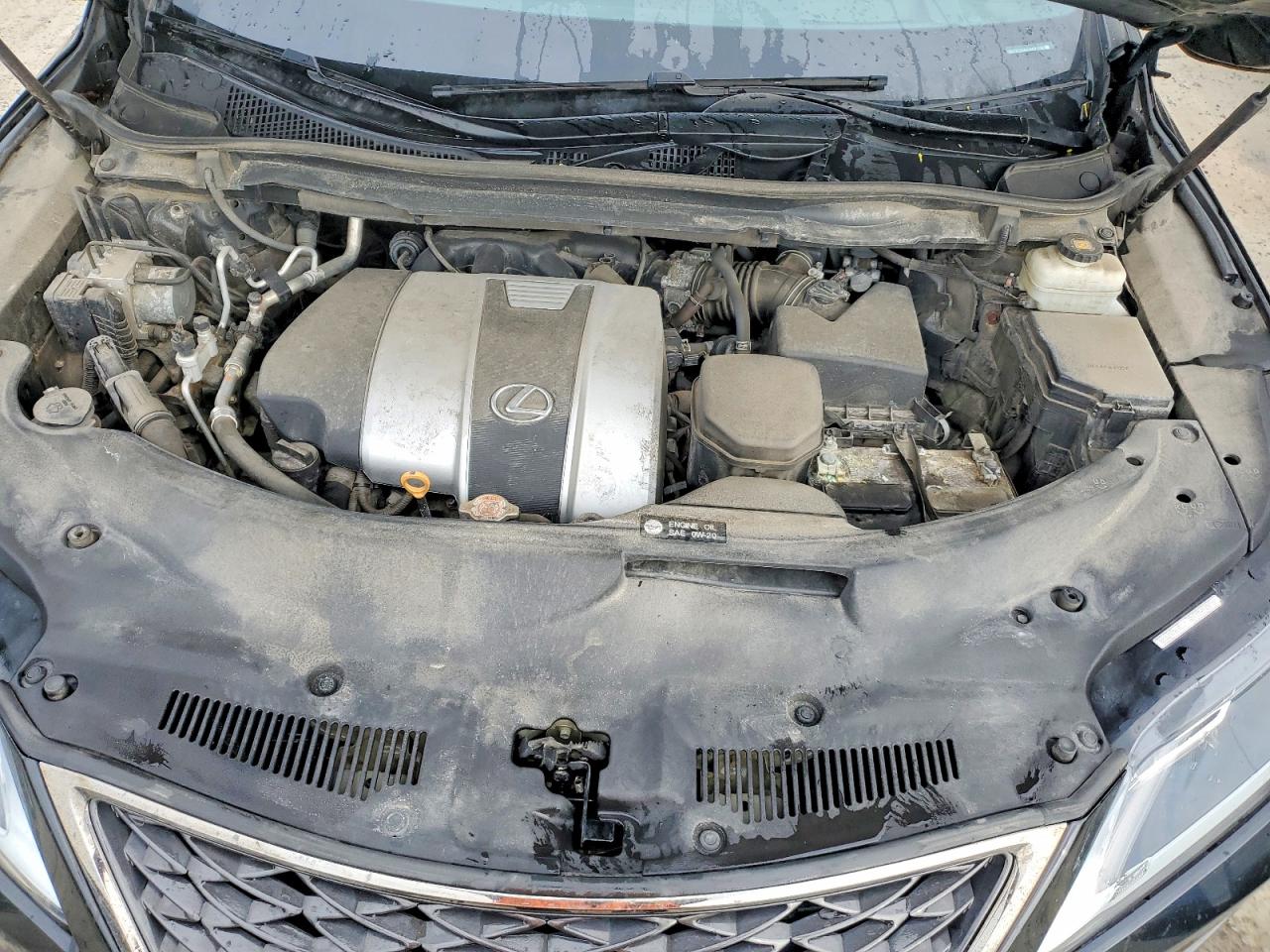 LEXUS RX 2021 — 12