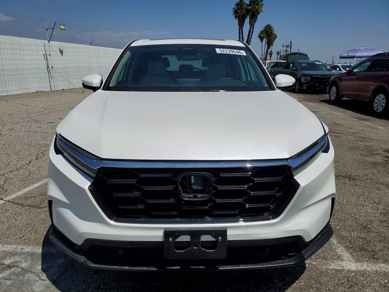 HONDA CR-V 2026 — 6