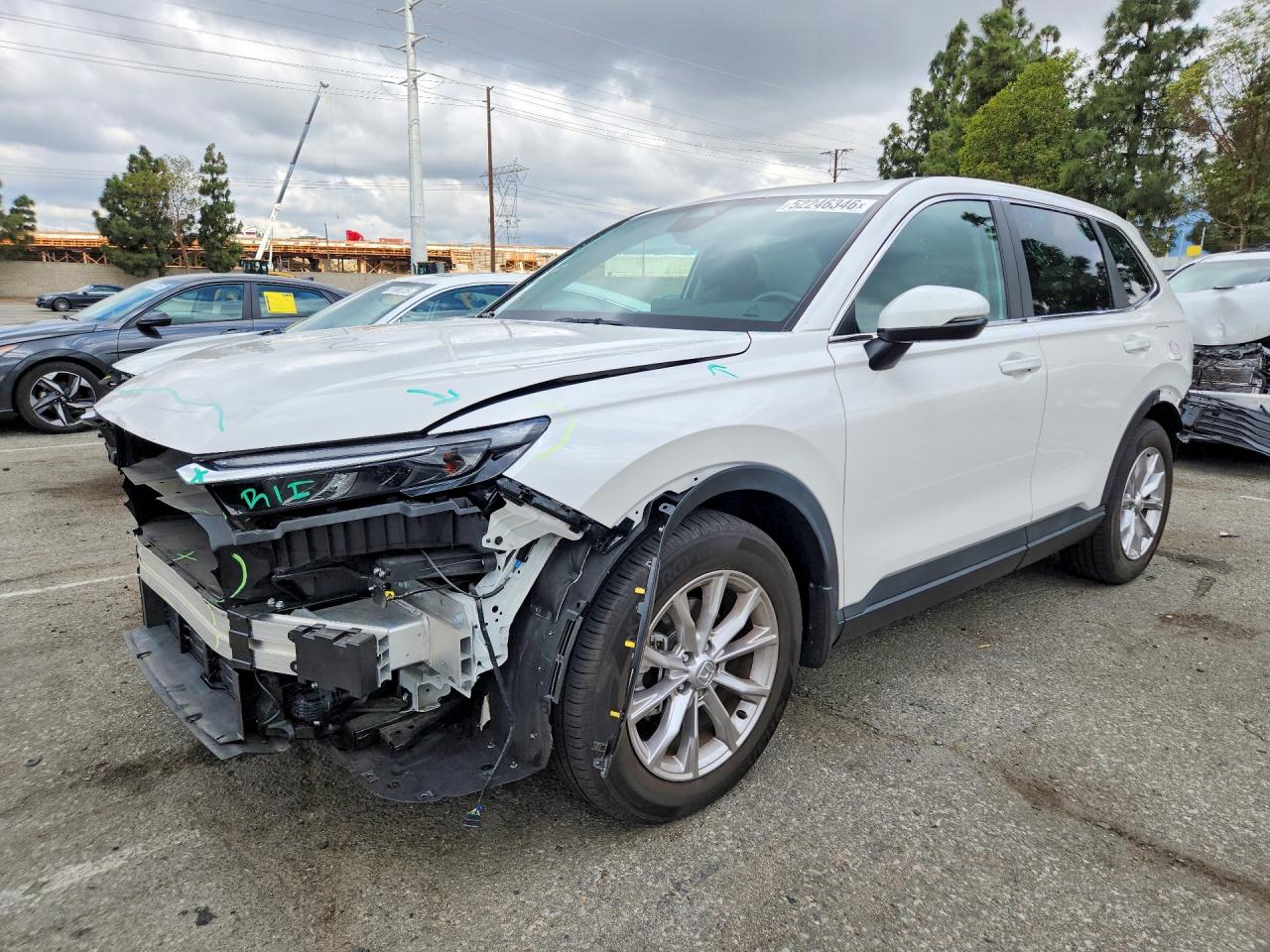 HONDA CR-V 2024 — 2