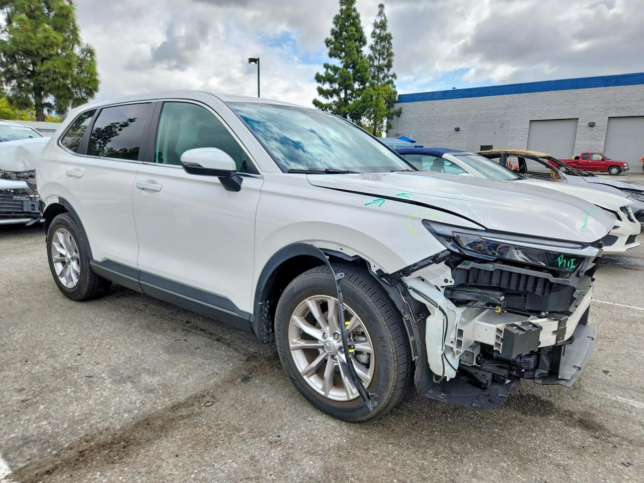 HONDA CR-V 2024 — 5