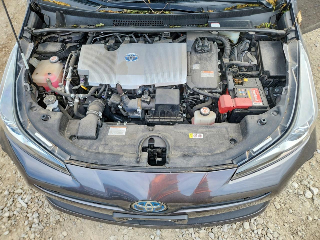 TOYOTA PRIUS 2019 — 13