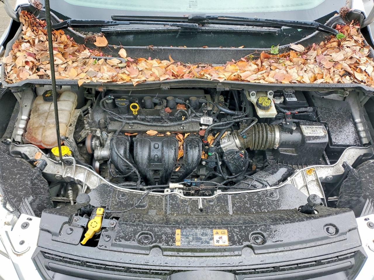 FORD ESCAPE 2015 — 13