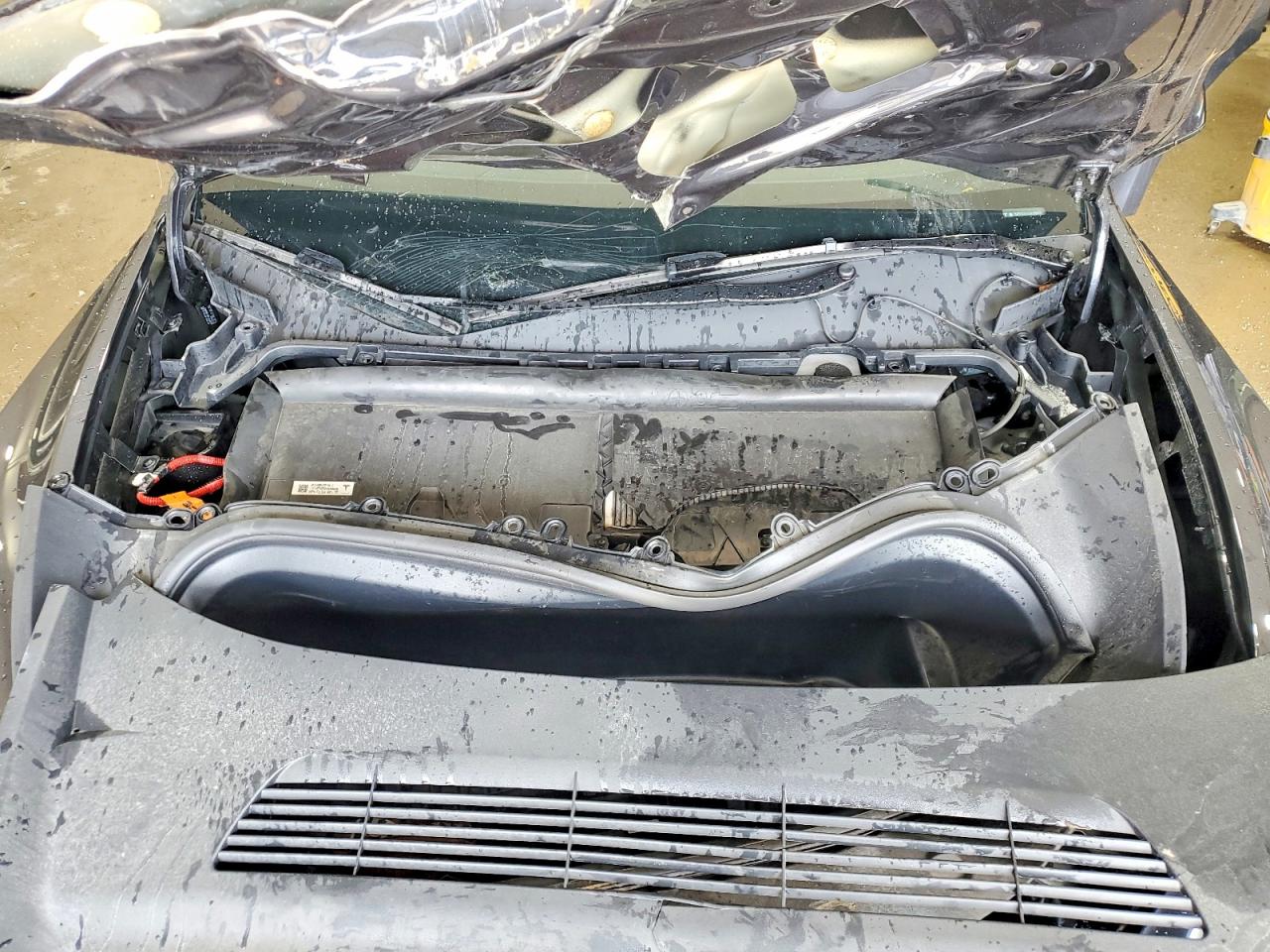 TESLA MODEL Y 2025 — 13