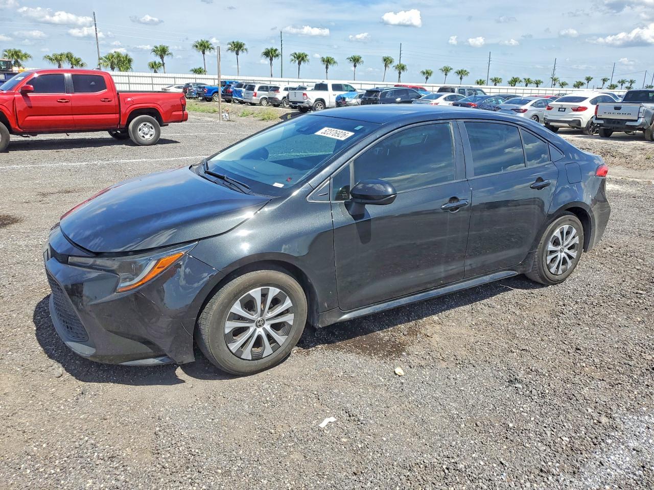 TOYOTA COROLLA 2022 — 2