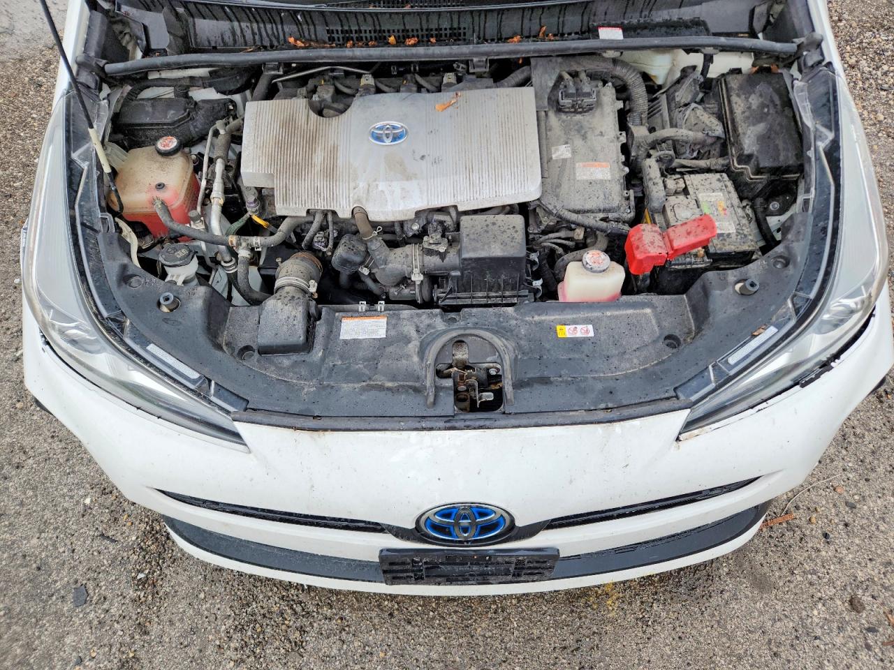 TOYOTA PRIUS 2019 — 12