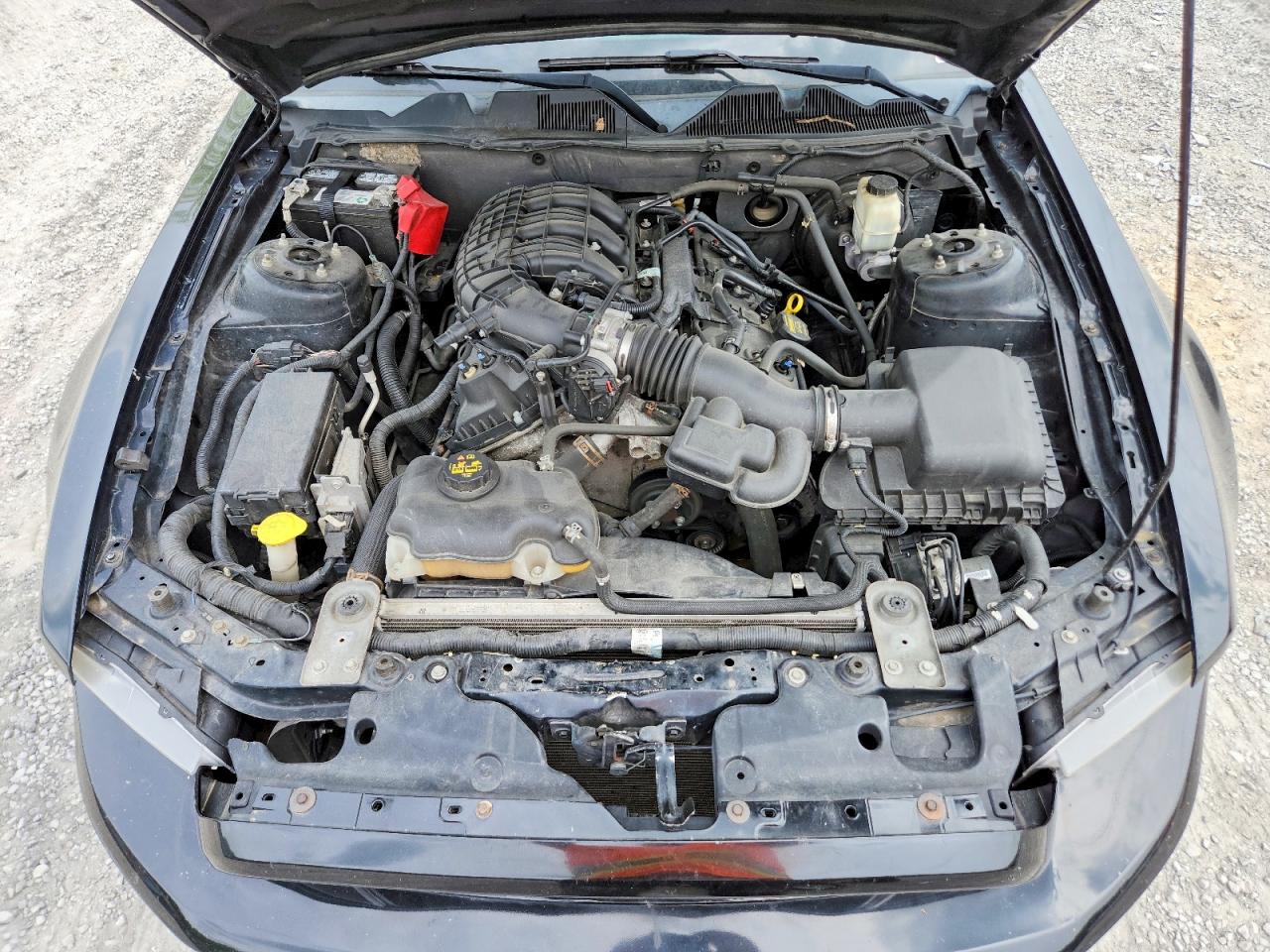 FORD MUSTANG 2014 — 12