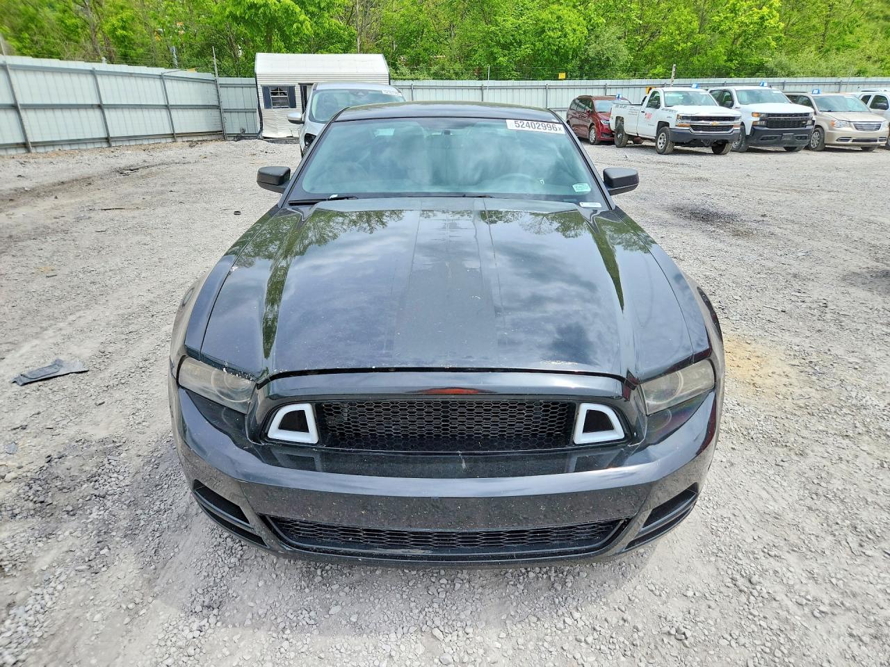 FORD MUSTANG 2014 — 6