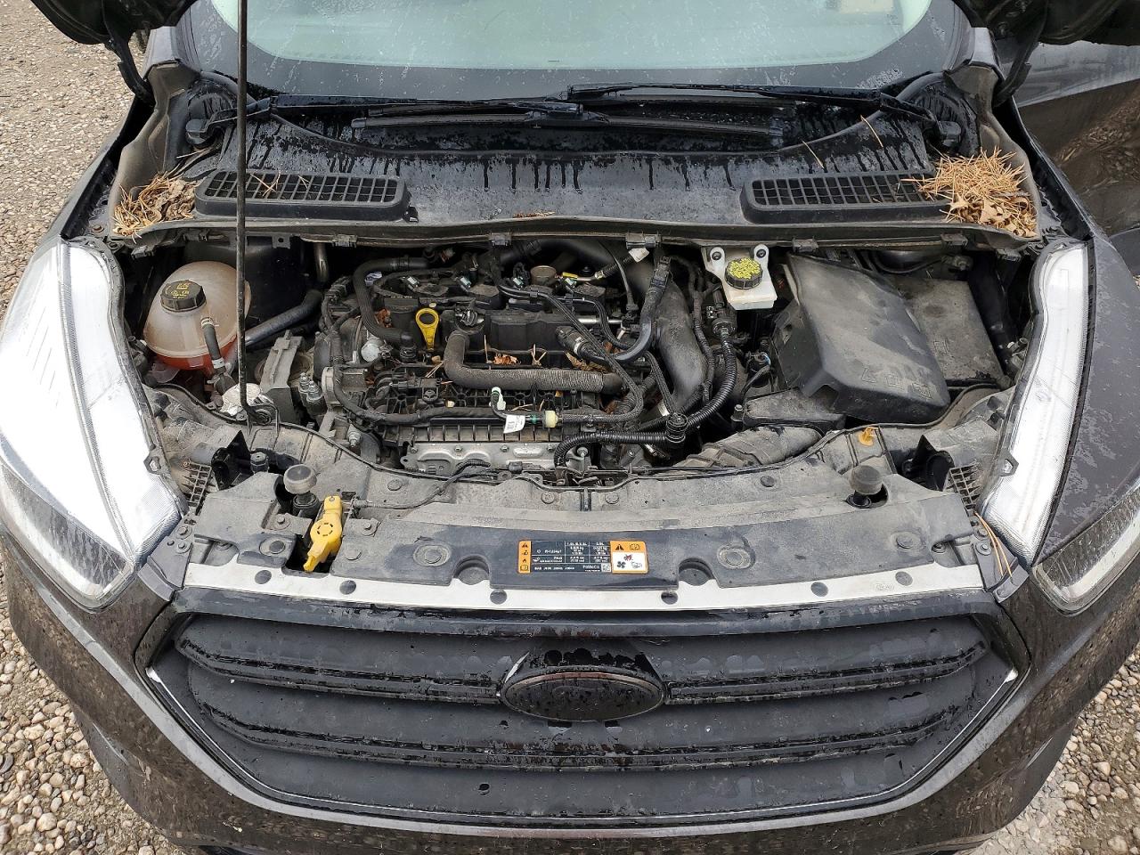 FORD ESCAPE 2019 — 13