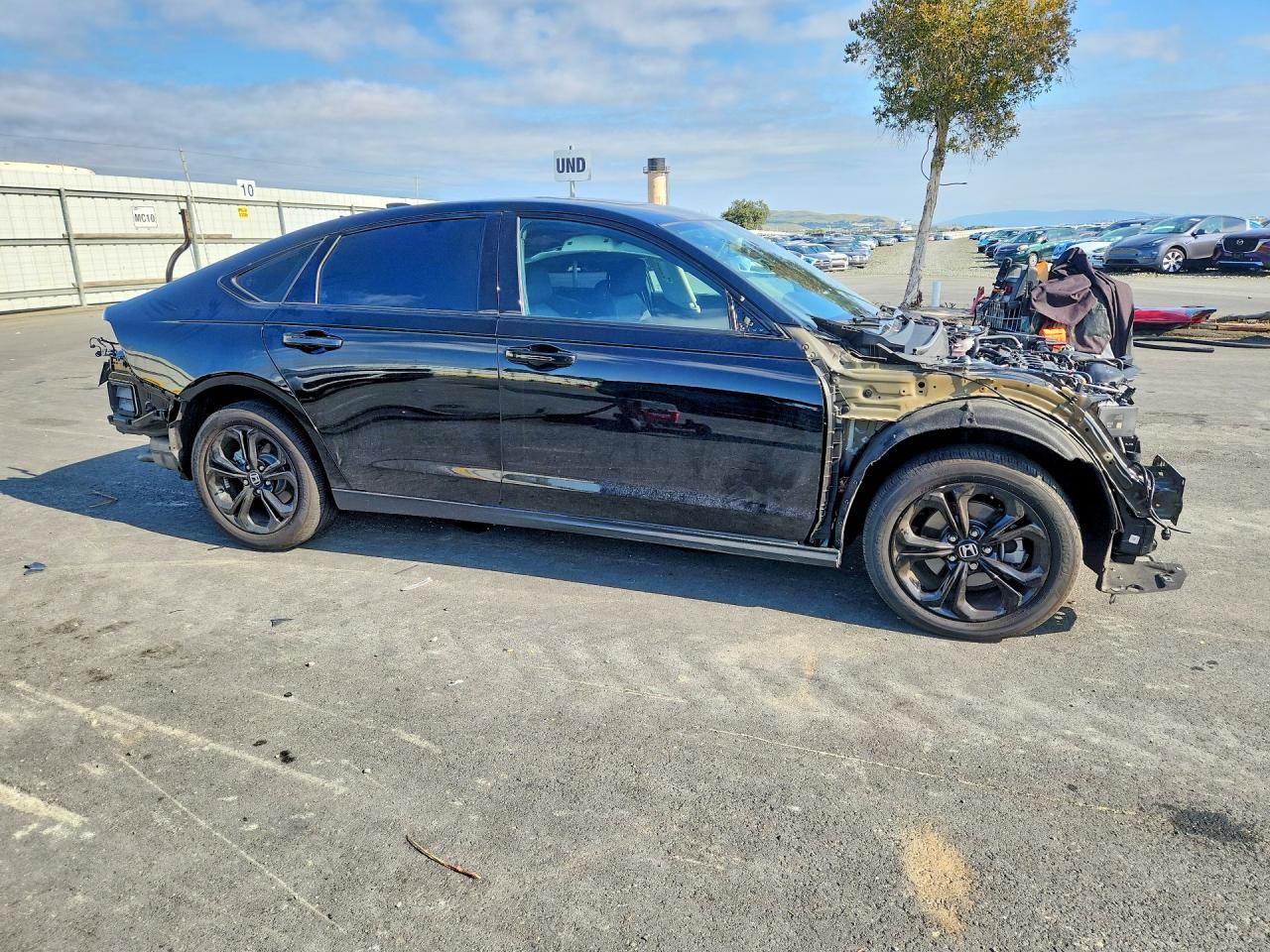 HONDA ACCORD 2025 — 5