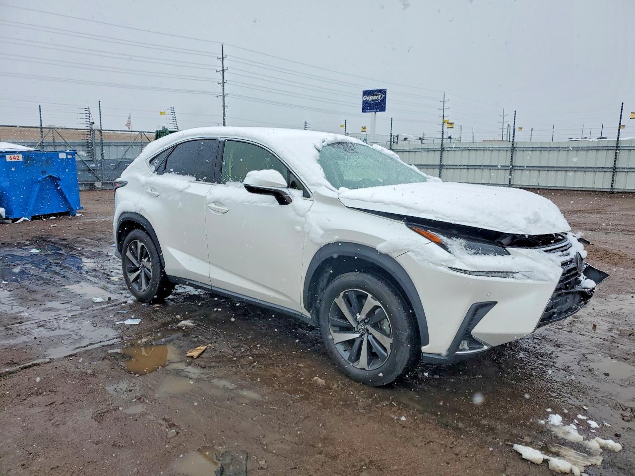 LEXUS NX 300 2021 — 4