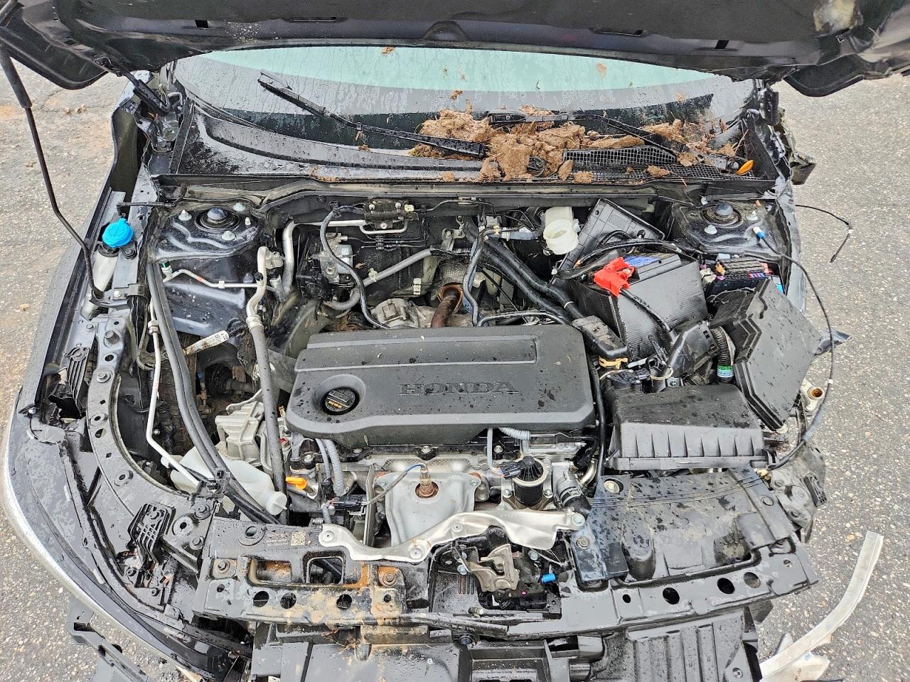 HONDA CIVIC 2025 — 11