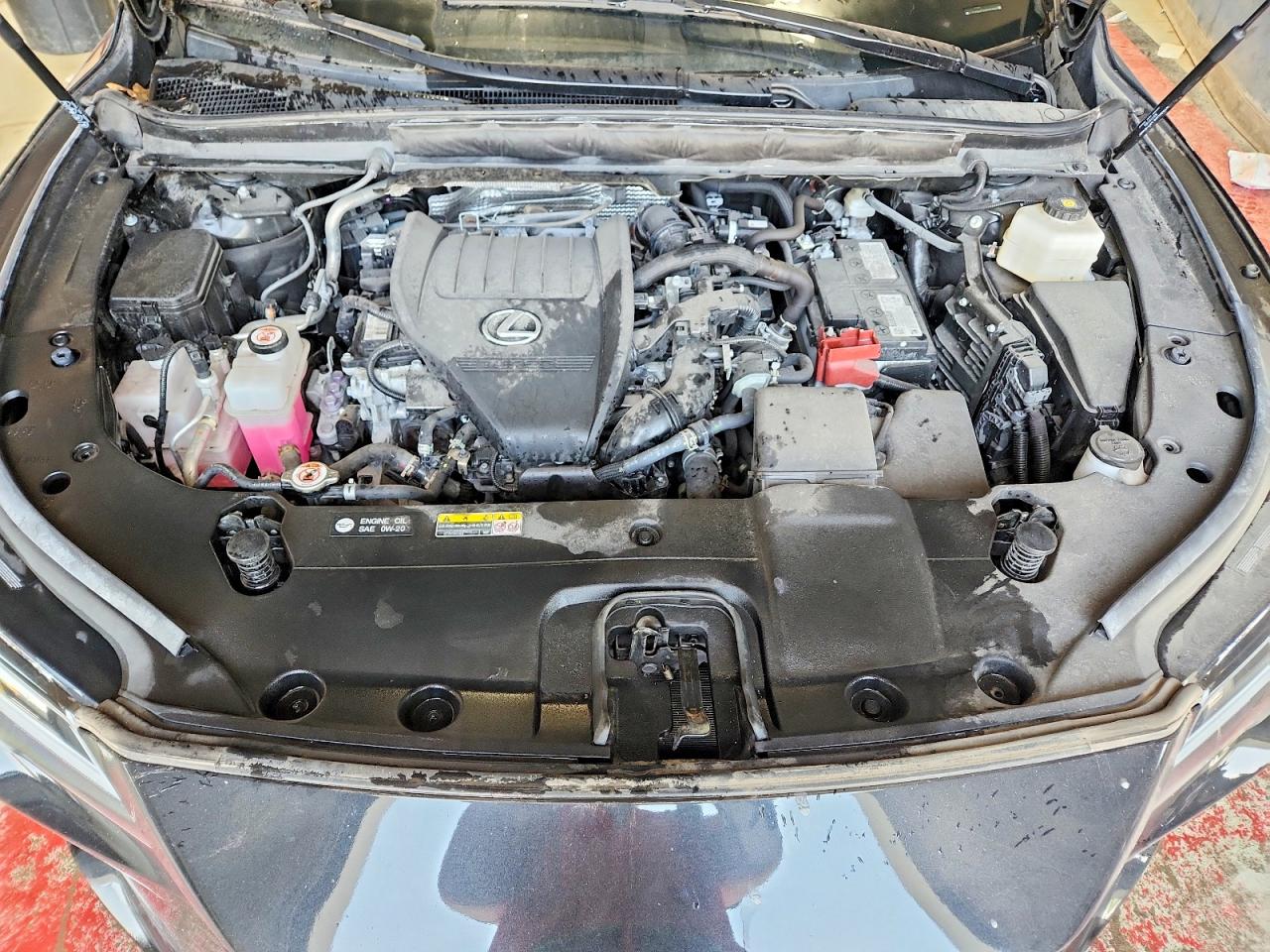 Lexus RX 2024 — 13