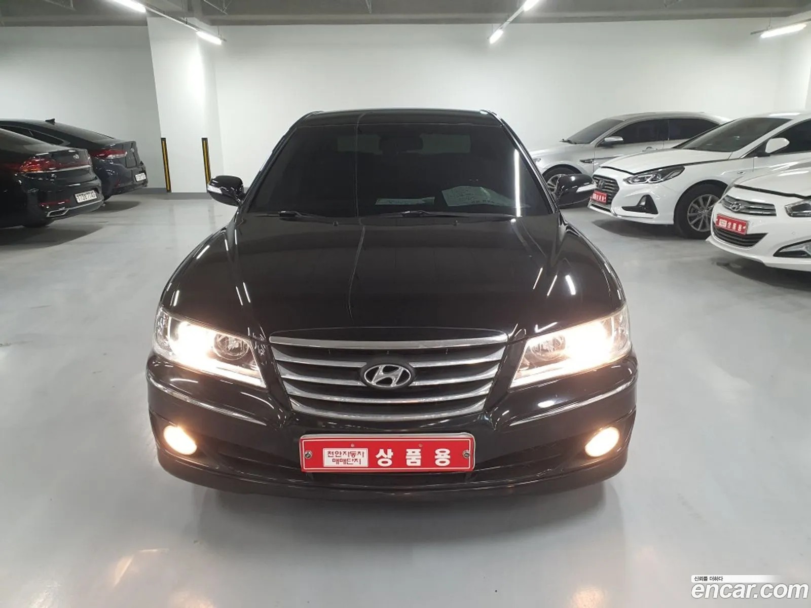 Hyundai The Luxury Grandeur 2010 — 4