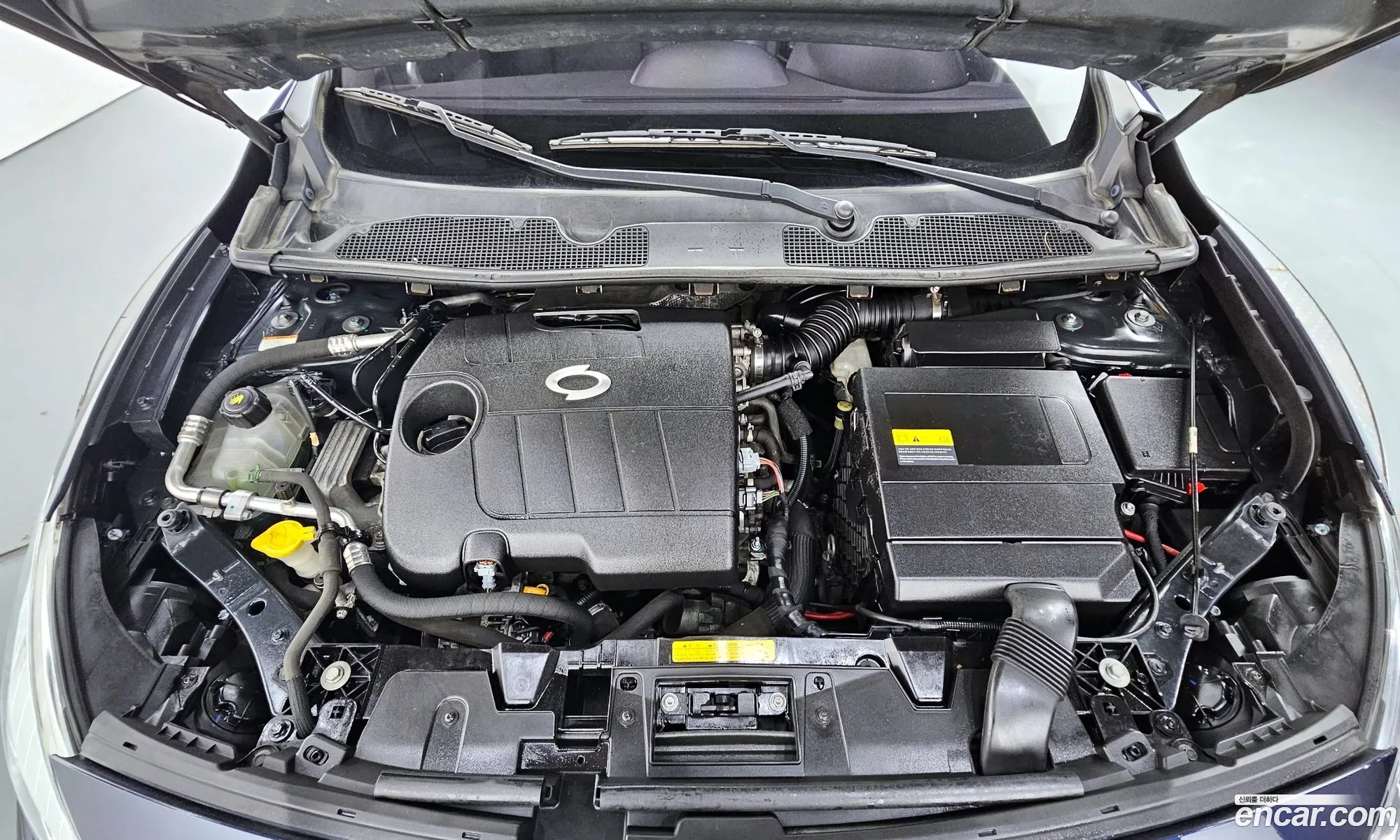Renault Korea (Samsung) SM3 2009 KNMC4C2HMAP023767 — 11