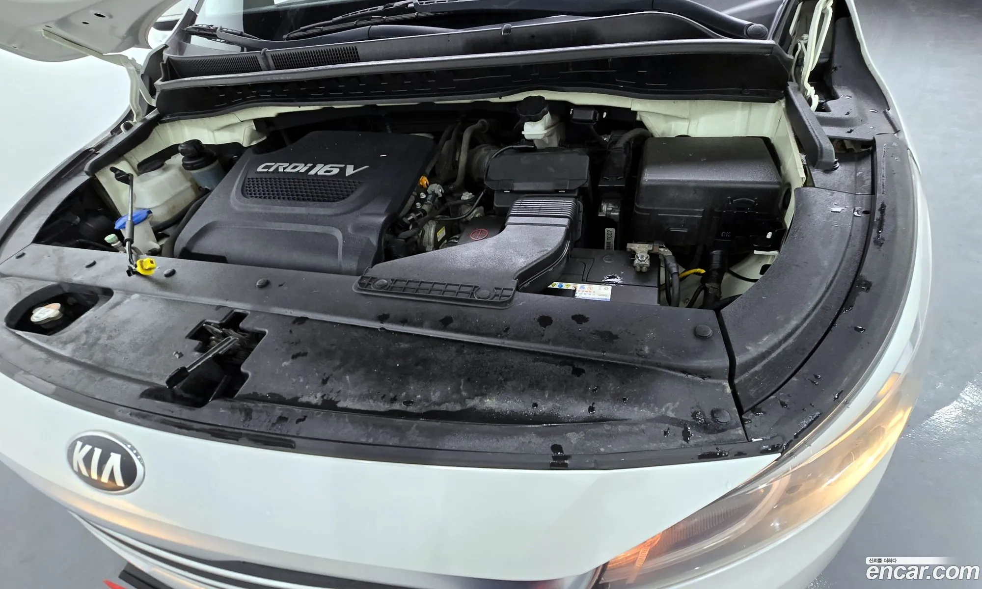 Kia Carnival 2015 — 3