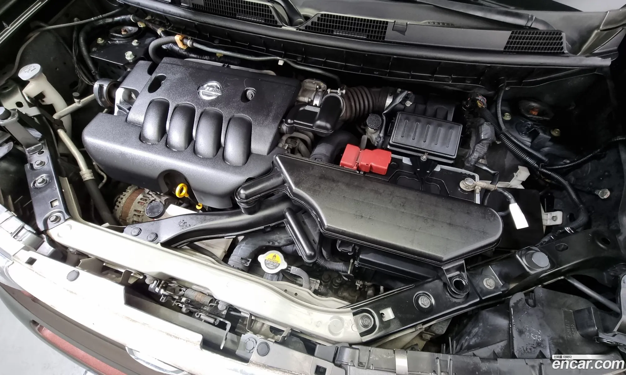 Nissan Cube 2011 JN1AZ23E8BT000717 — 2