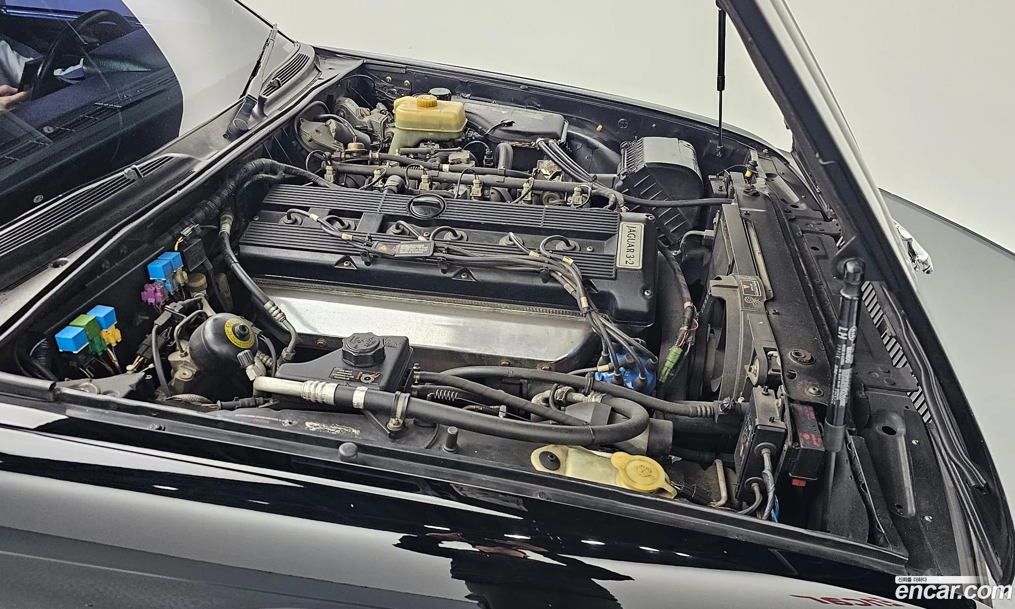 Jaguar XJ6 1994 SAJJFALG4RJ700871 — 12