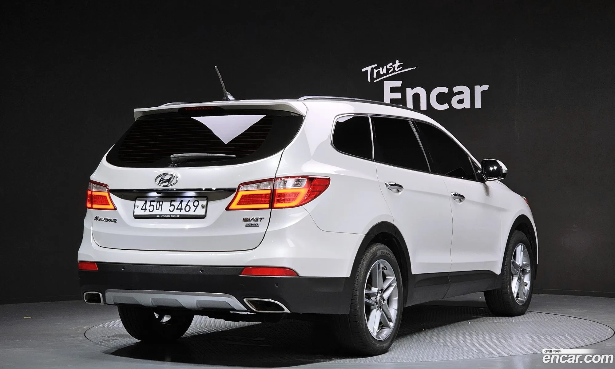 Hyundai Maxcruz 2013 — 19