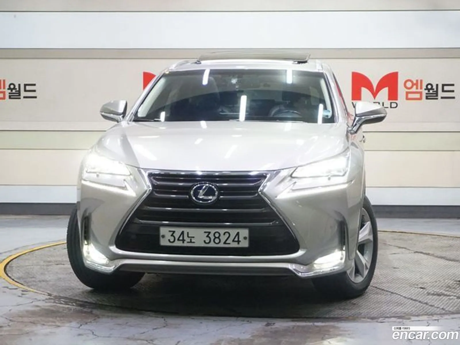 Lexus NX300h 2017 — 18