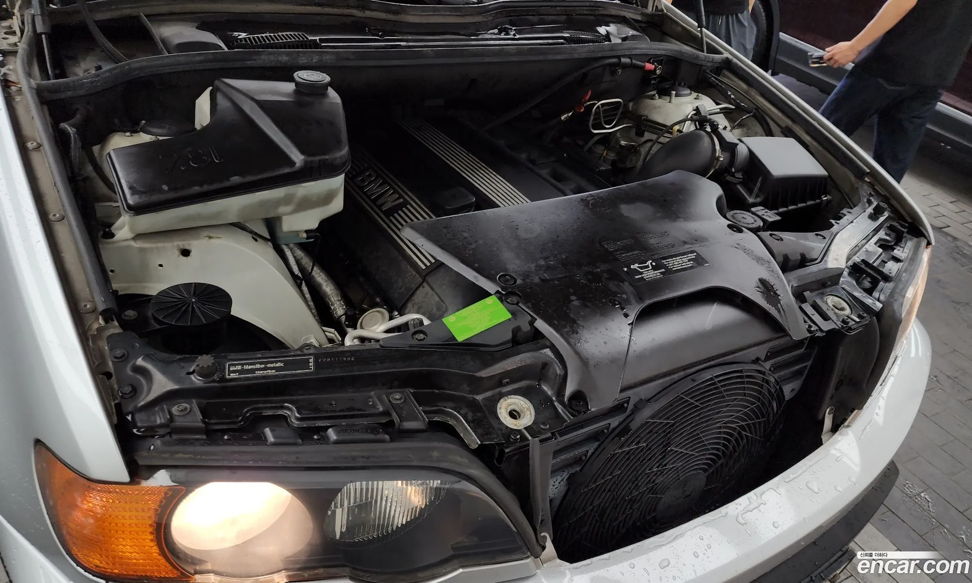 BMW X5 2002 5UXFA53532LP57146 — 6