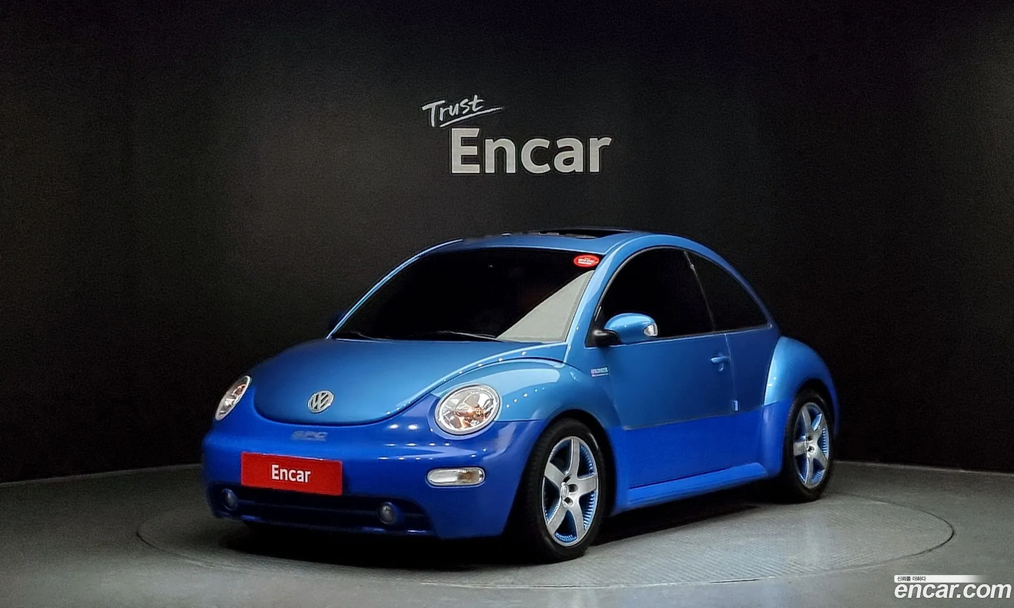 Volkswagen Beetle 2004 WVWZZZ9CZ4M516431 — 10