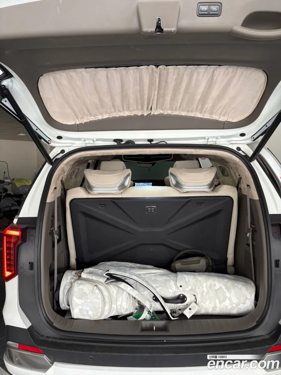 Kia Carnival 2024 — 16