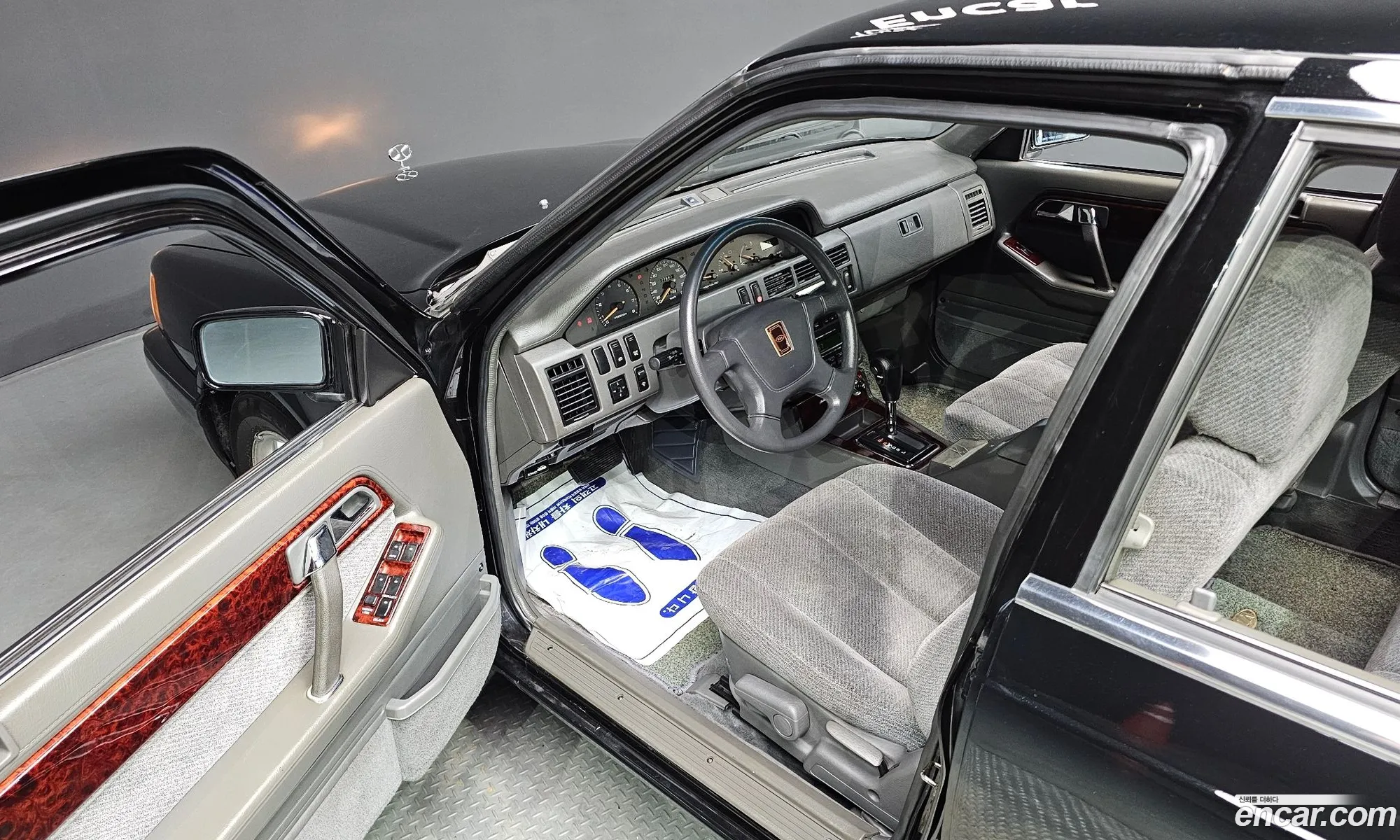Kia Potentia