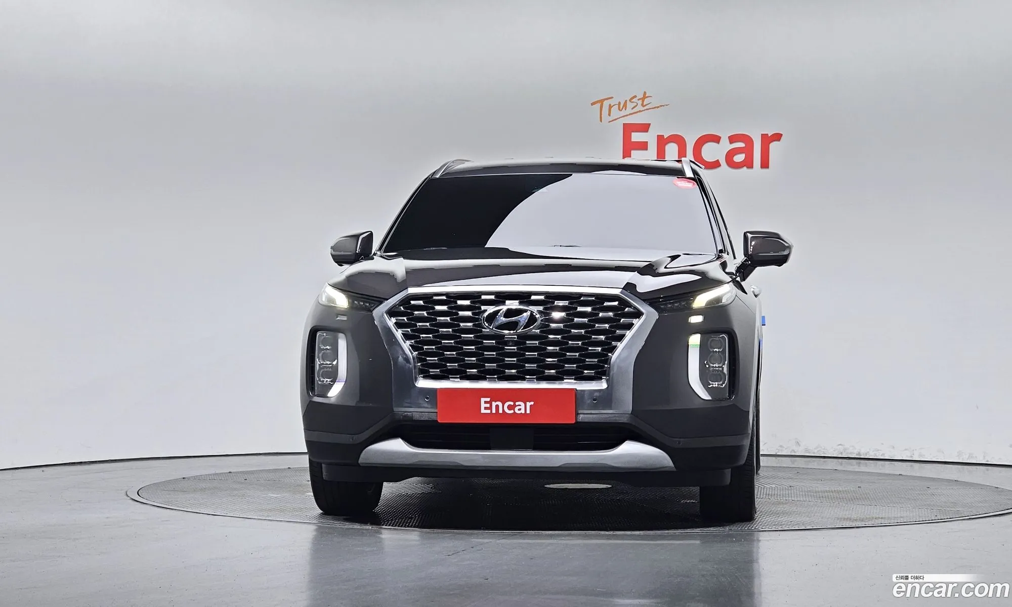 Hyundai Palisade 2020 — 7