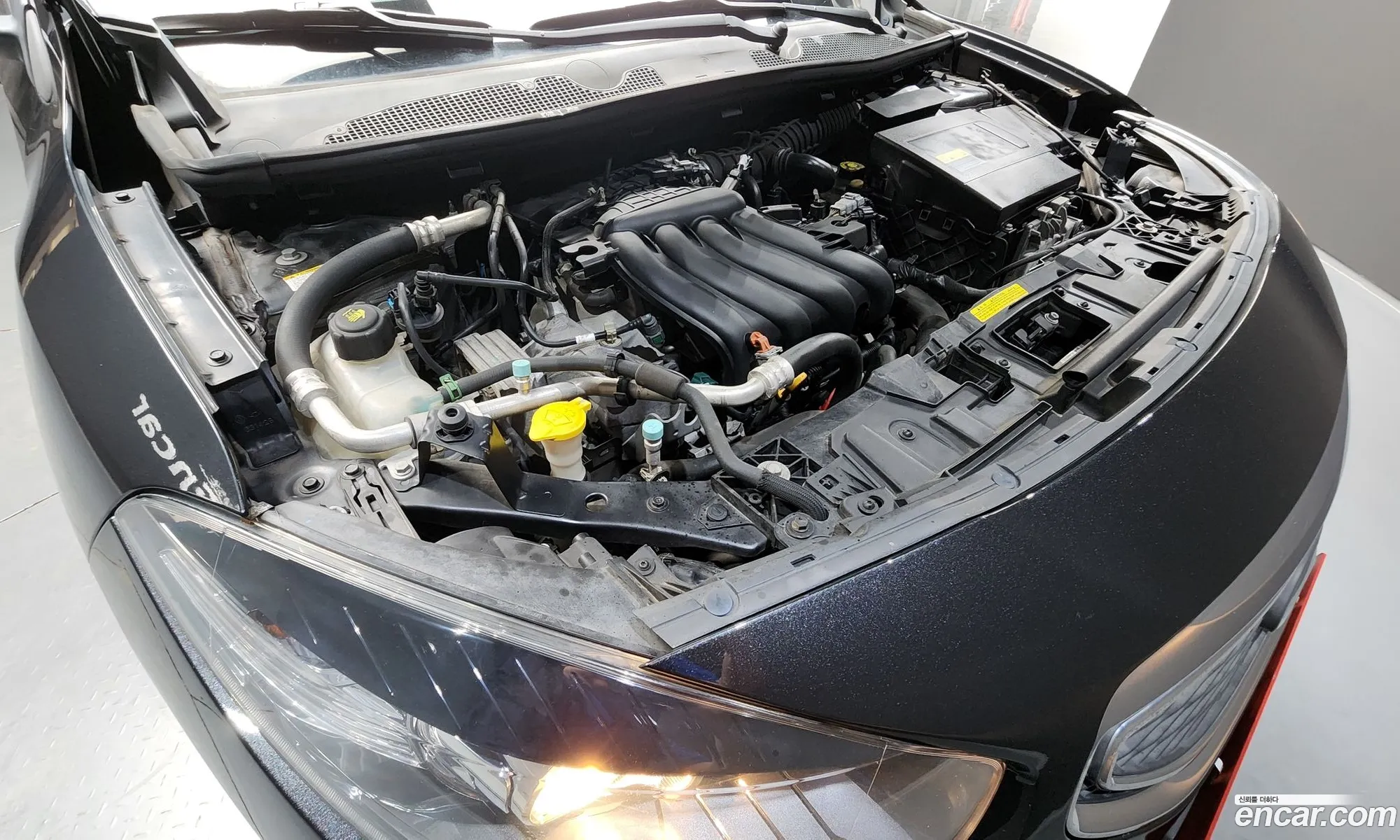 Renault Korea (Samsung) SM3 2014 — 13