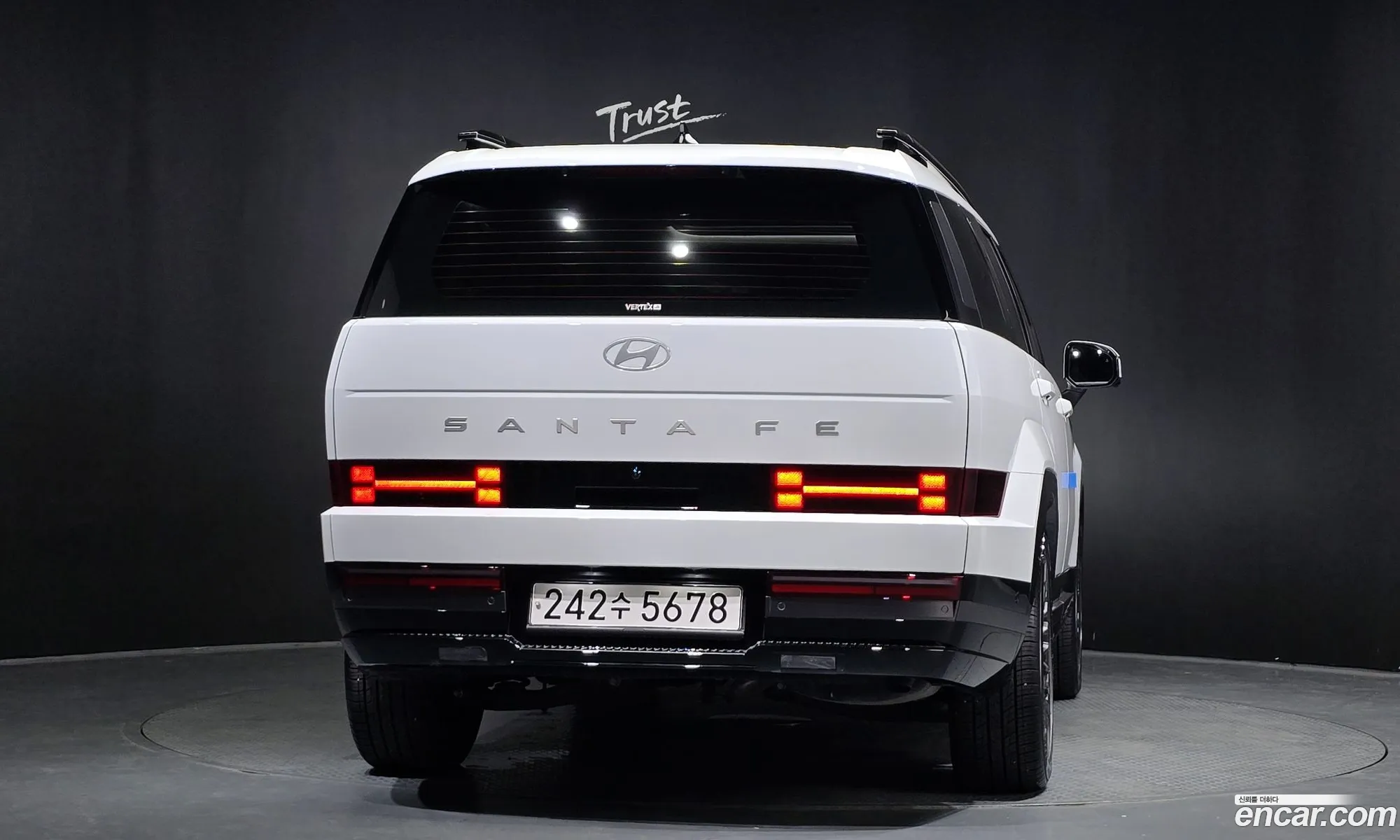 Hyundai Santa Fe 2024 — 17