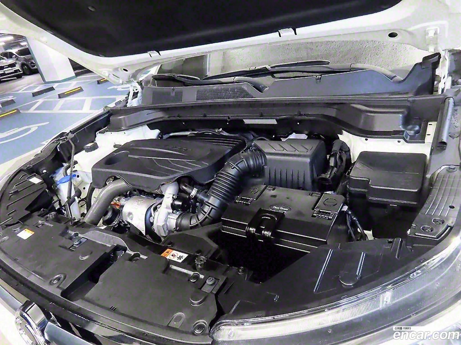 KG Mobility (SsangYong) Beautiful Korando 2024 — 13