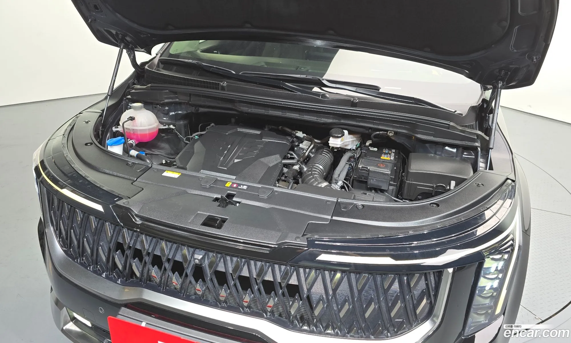 Kia Carnival 2024 — 2