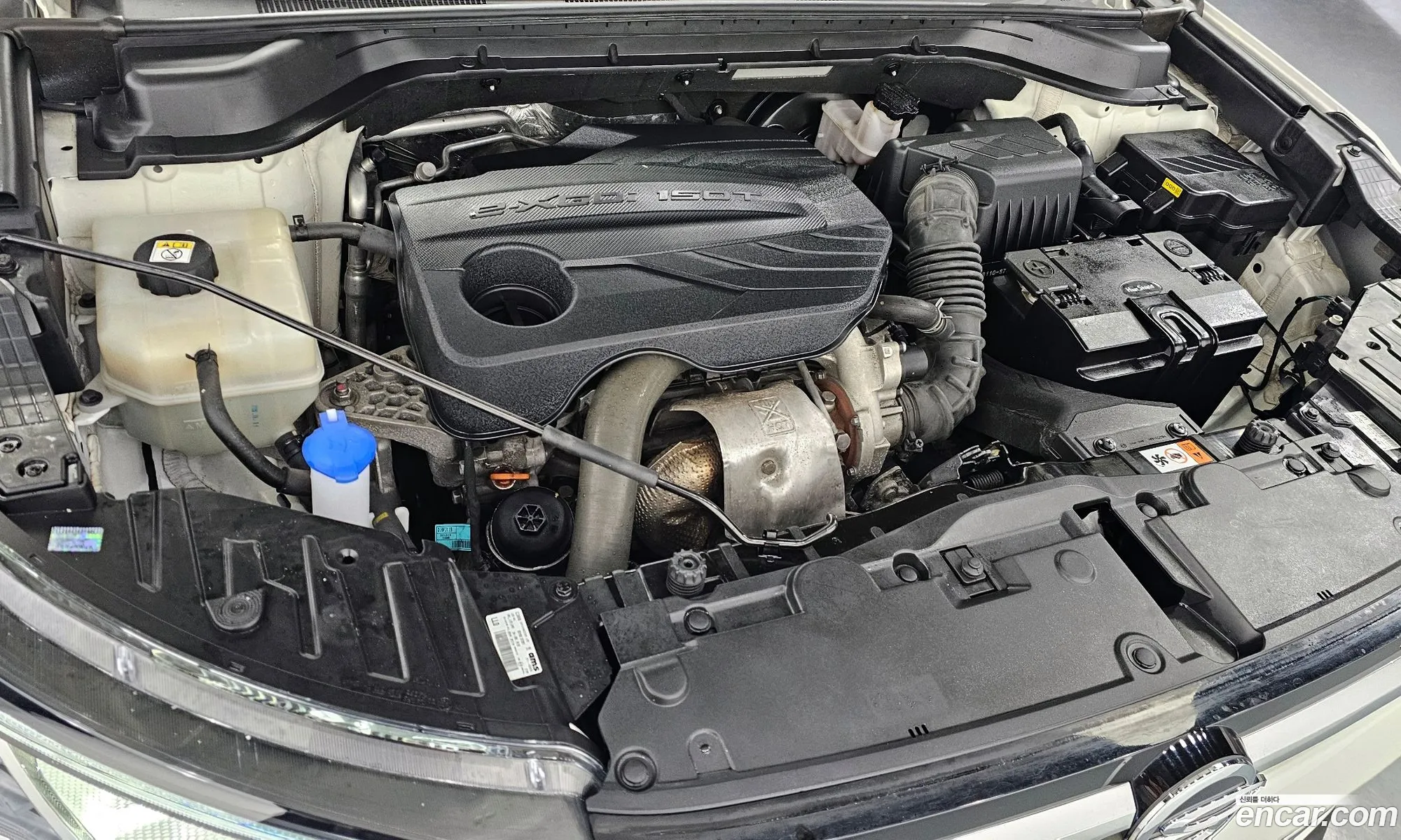 KG Mobility (SsangYong) Beautiful Korando 2020 — 17
