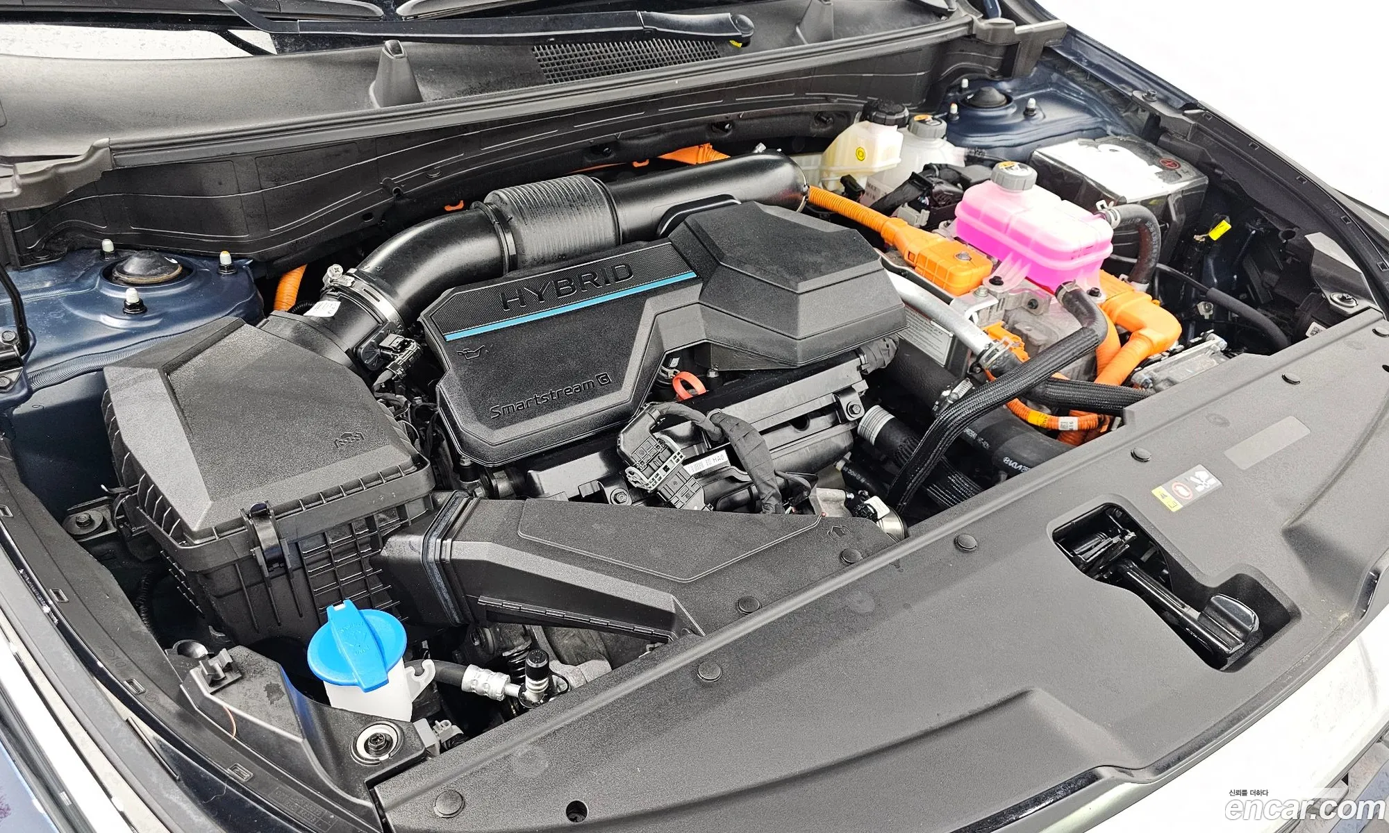 Kia Sportage Hybrid 2024 — 3
