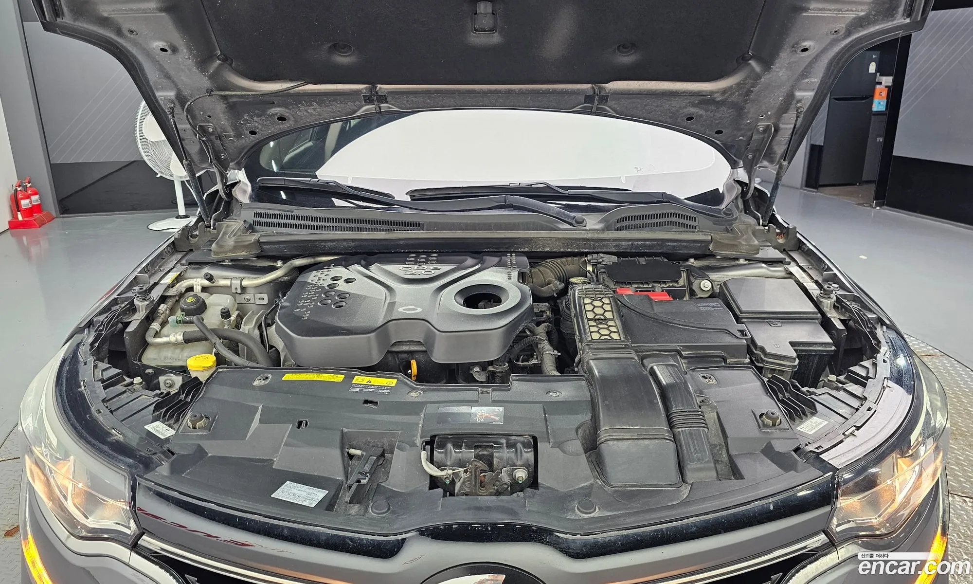 Renault Korea (Samsung) SM6 2016 — 5