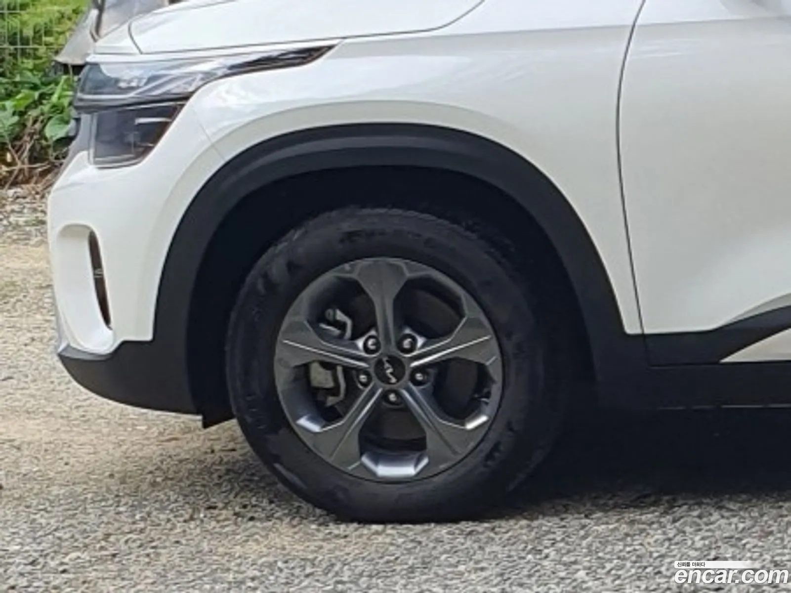 Kia Seltos 2024 — 7